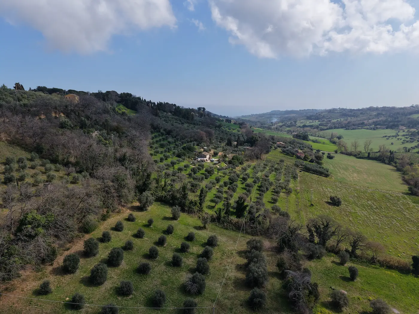 Colline di Civitanova Marche