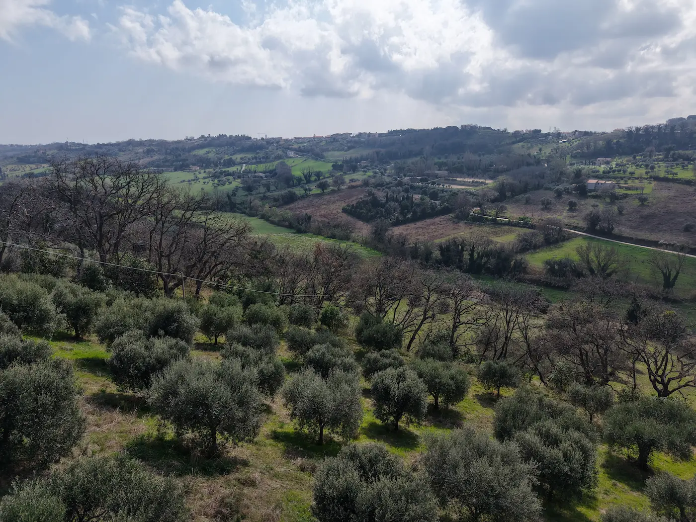 Colline di Civitanova Marche