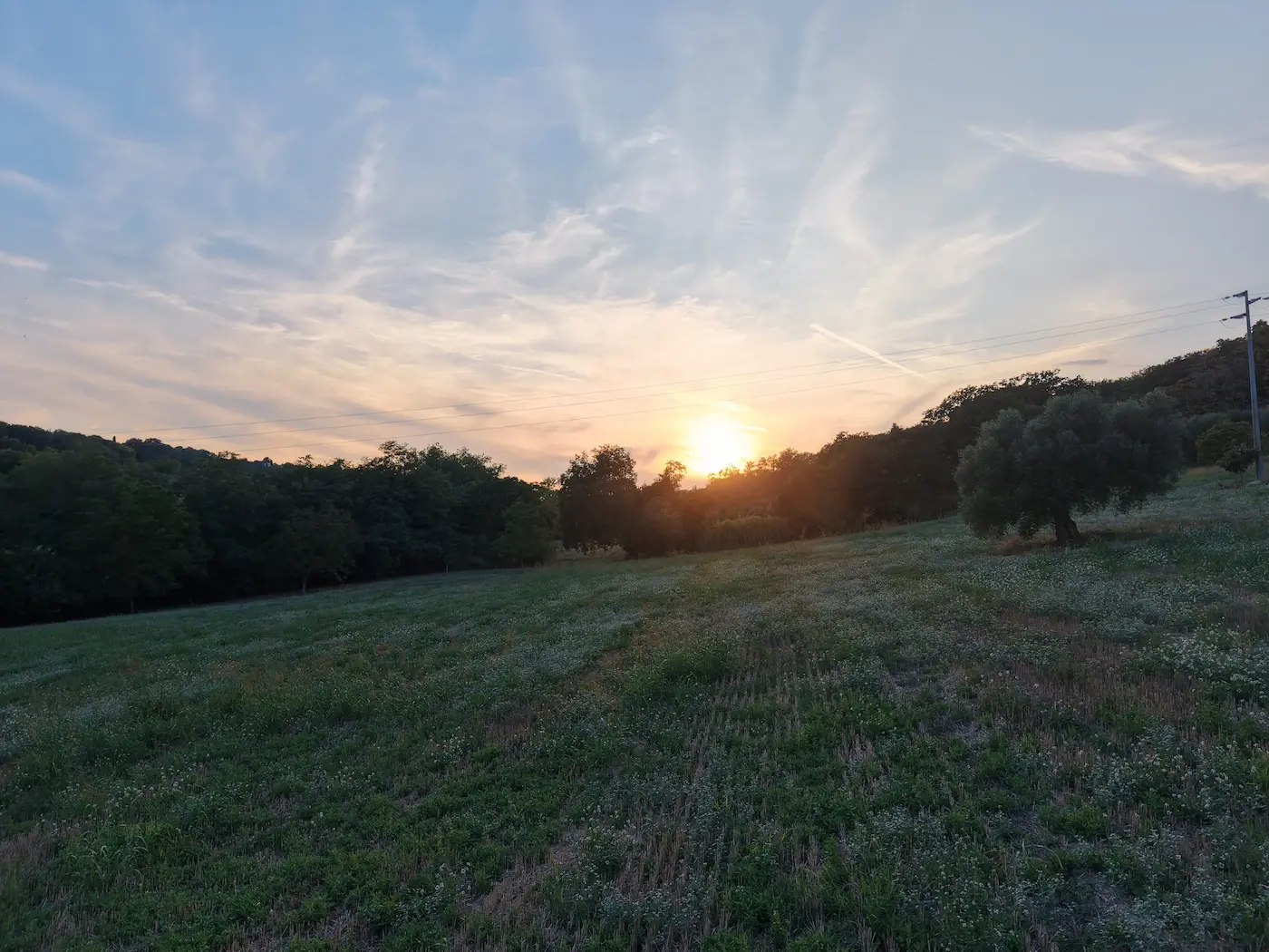 Colline di Civitanova Marche